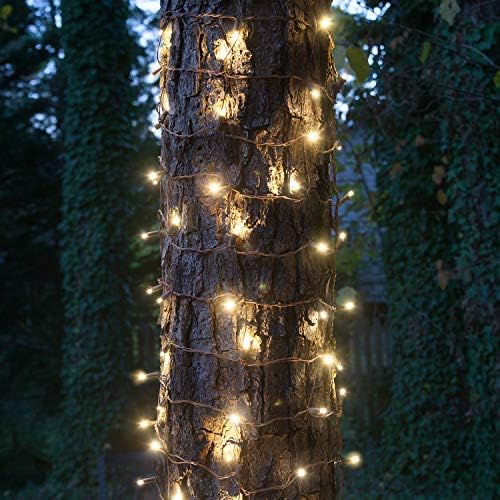 Wintergreen Lighting Warm White LED Tree Trunk Wrap Lights – 2' x 6' Net Tree Wrap Christmas Lights, Outdoor Holiday Yard Decor, 100 Lights on Brown Wire