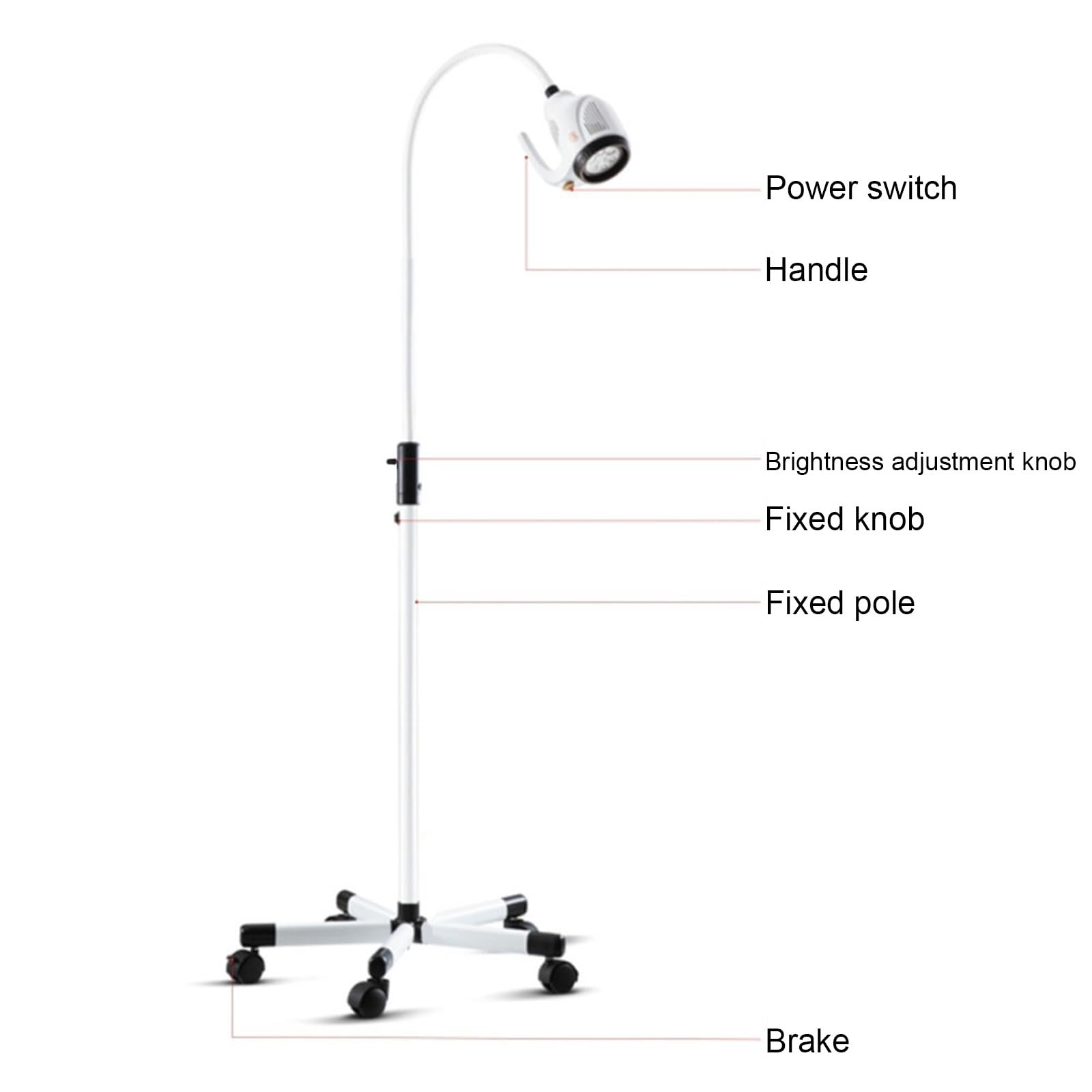 Lampada Chirurgica Mobile Da Pavimento, Lampada for Visita Medica A LED Da 21 W su Ruote, Altezza e Angolazione Regolabili, for Pazienti Ambulatoriali