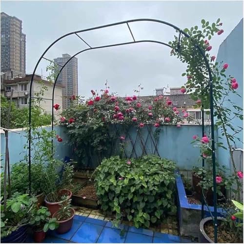 Arche de jardin en métal treillis pergola finition noire