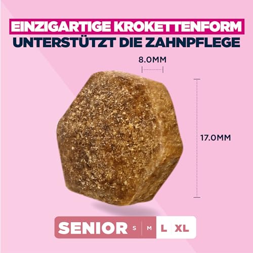 Eukanuba Senior Hundefutter mit Lamm und Reis für große Rassen - Premium Trockenfutter für ältere Hunde, 12 kg