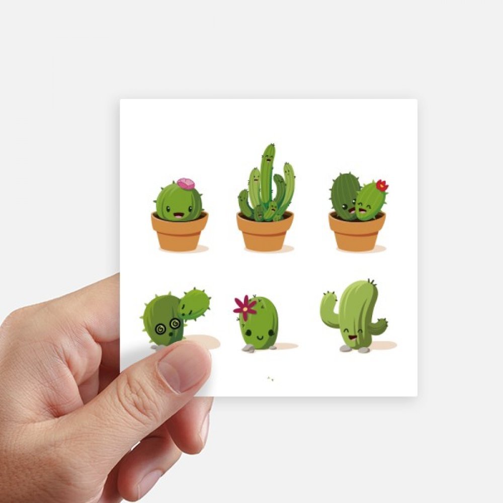 Autocollant carré cactus et succulentes 10 cm pour gourde et ordi, lot de 8