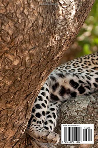 Leopard Notebook: Portable lined Leopard - Travel Journal to write in - 120 pages - 6"x9" - Image 2