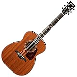 Ibanez AC240OPN Artwood Series Acoustic Guitar (Open Pore Natural)