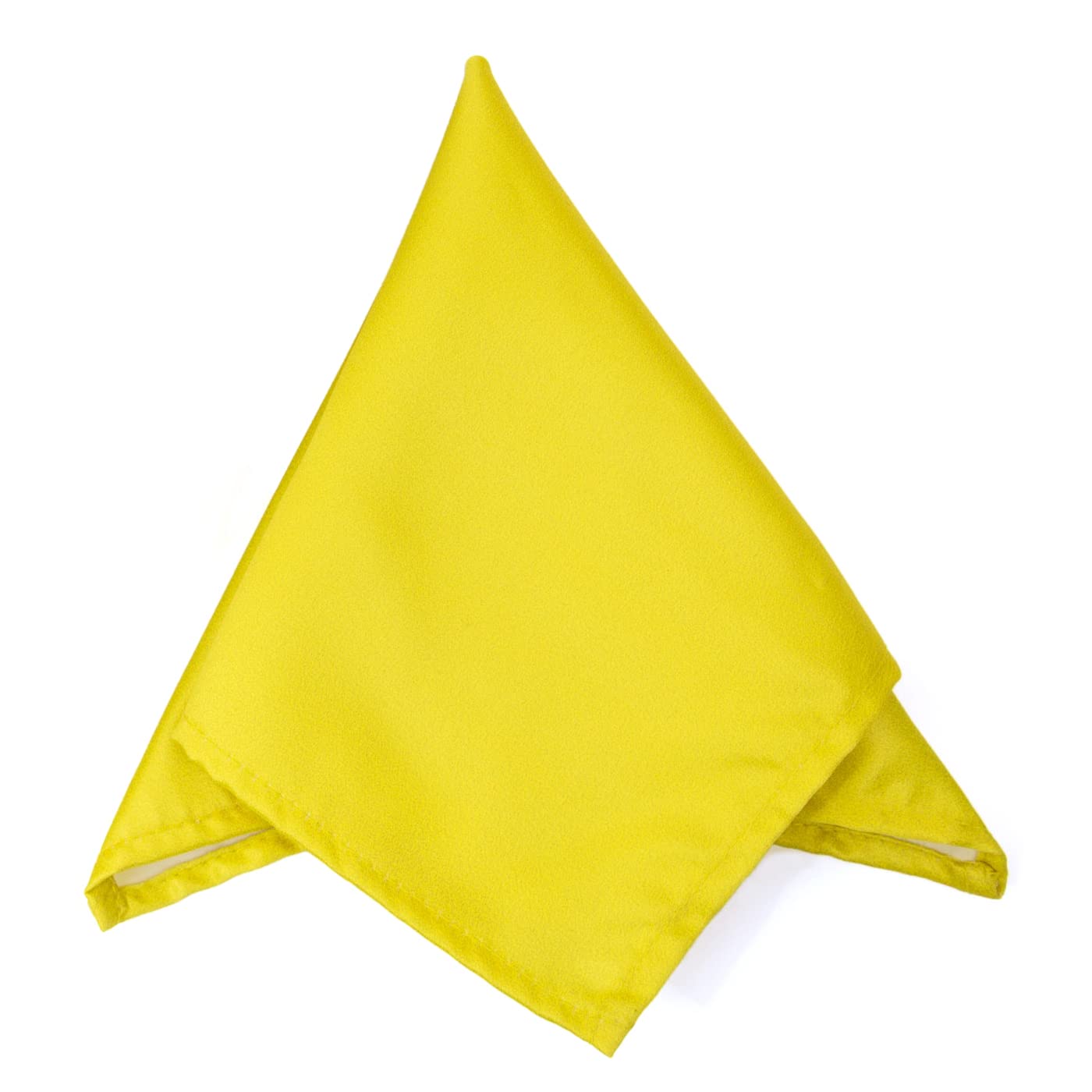 vibhavari Men's Lemon Pocket Square-picture-22