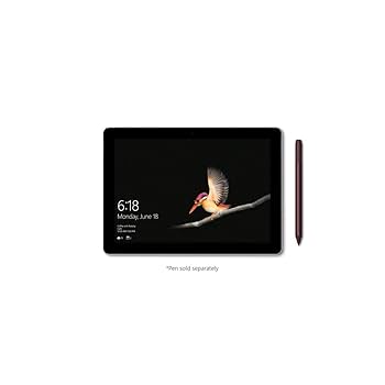Amazon.com: Microsoft Surface Go 10