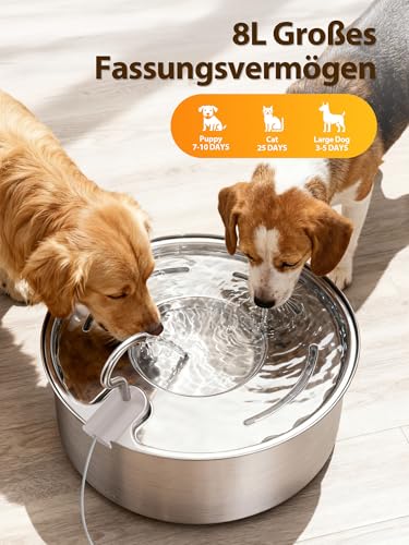 Kittyspout 8L Trinkbrunnen für Hunde, Edelstahl Wasserspender mit großem Sichtfenster und 3 Filtern, Ultra-leise Pumpe, Ideal für große Hunde und mehrere Katzen