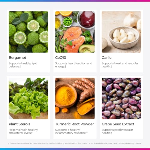 Livingood Daily Cholesterol Support Supplement