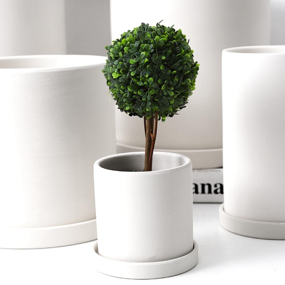 potted plant saucer Down Under Plant Saucer