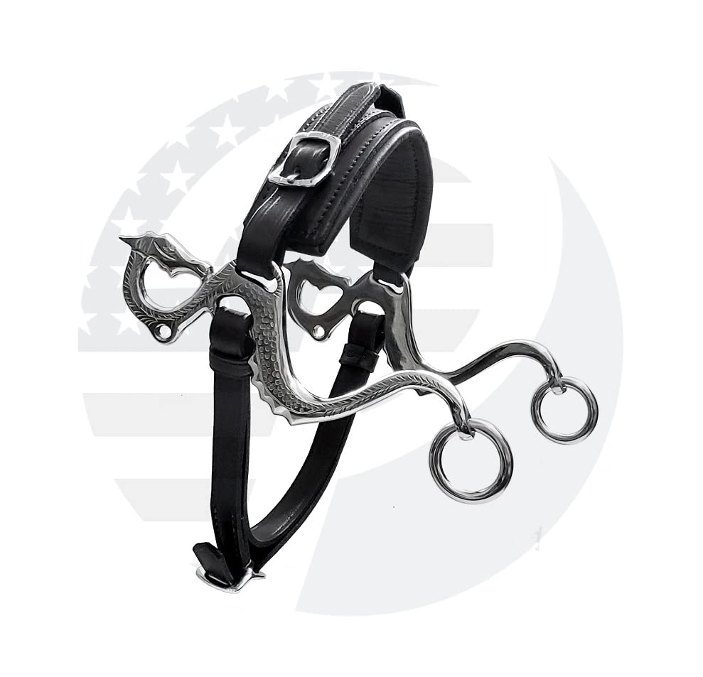 Dragon Adjustable Bitless Hackamore For Horses - English & Western, Black Leather & Stainless Steel