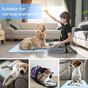 Nobleza Puppy Pads Extra Large 28×34 Super Absorbent Pee Pads for Dogs Leakproof 5layer Pet Training Pads with Quickdry Surface for Potty Training 40 Count  Cucciolini Doodles Nobleza puppy pads extra large 28×34 super absorbent pee pads for dogs leak proof 5 layer pet training pads with quick dry surface for potty training 40 count   cucciolini doodles