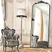 AIXI HOME Arched Black Antique Full Length Wall Mirror 22