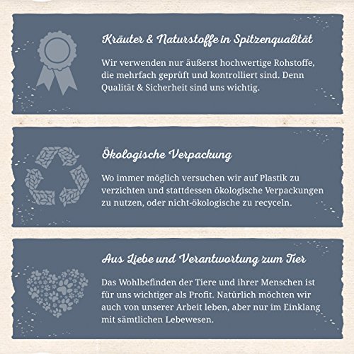 Krauterie Grünlippmuschel für Pferde (500 g) - Gemahlene Muschel in Spitzenqualität - Artgerechtes Einzelfuttermittel für Pferde frei von Zusatzstoffen, Pulver