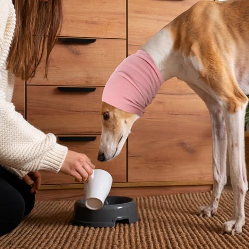 Image of Qianyu Soft Dog Calming Hoodie Quiet Head Cover Sleeves Hood for Noise Bath Hematoma Dogs Ear Cover Cancelling Sleep Help Headband for Anxiety Relief Calming Dog Neck Ear Warmer(Medium)