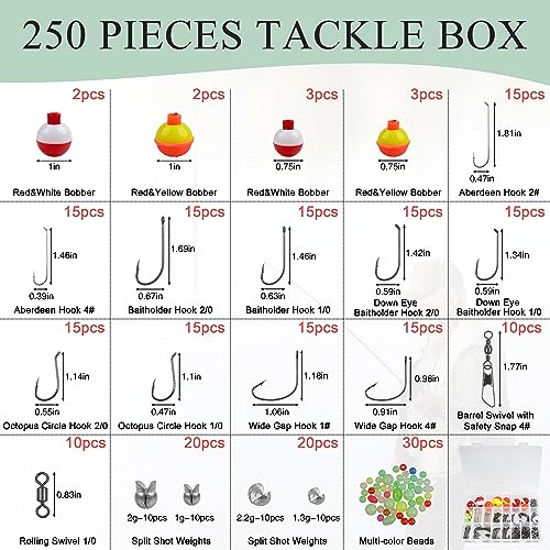 Kit d'hameçons de pêche eau douce de 250 pièces avec boîtier de rangement