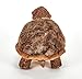 The Petting Zoo Tortoise Stuffed Animal Plushie, Gifts for Kids, Wild Onez Farm Animals, Tortoise Plush Toy 9 Inches