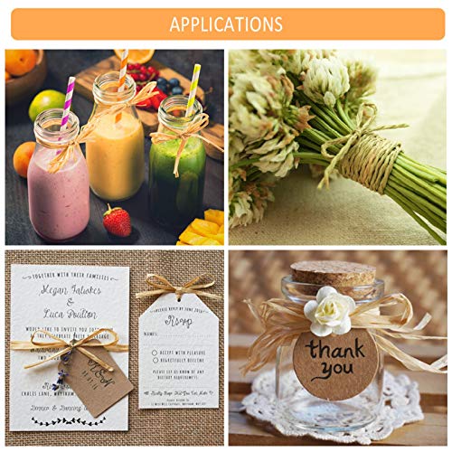 Nastro di Rafia 328 Iarde Corda di Rafia Naturale