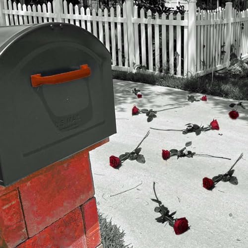 Episode 101: Gator-Bait-Jose