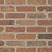 Brickwebb Single Thin Bricks - Corners (Box of 25) - Dixie Clay…