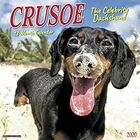 Algopix Similar Product 14 - Crusoe the Celebrity Dachshund 2020