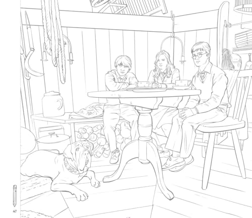 Harry Potter. Colora Con L'acqua. Con Pennarello - 7