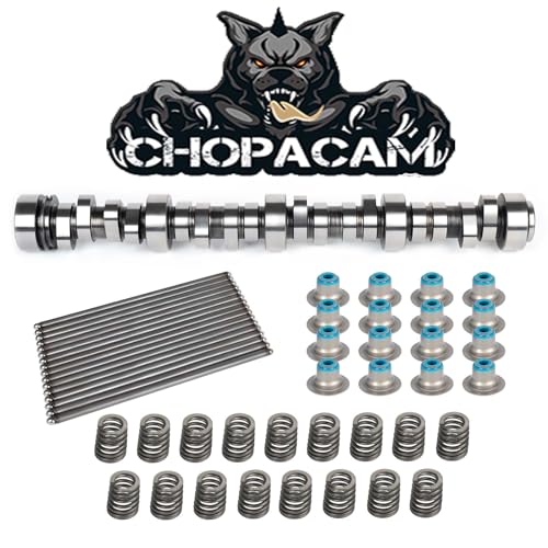 Stage 2 Cam Kit With .560 Lift Beehive Springs Seals Pushrods For Ls Truck Ca...