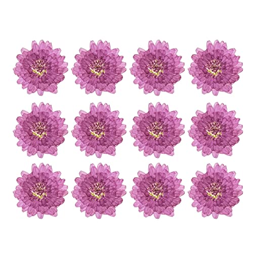 24 piezas de flores secas prensadas reales para arte DIY