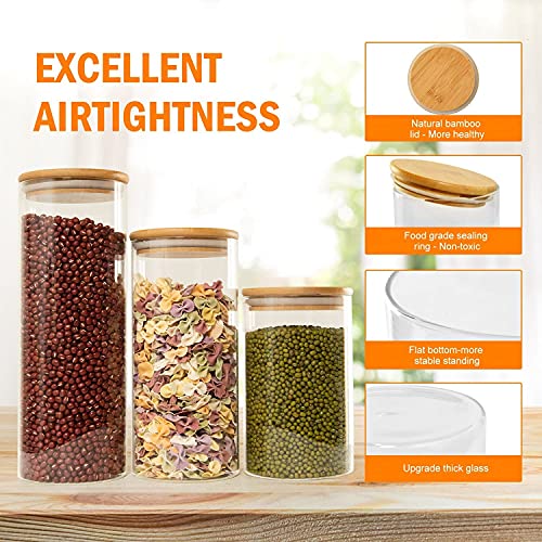 Confezione da 12 contenitori ermetici per