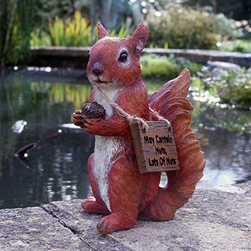 Sandy the squirrel 20cm Resin Garden ornament