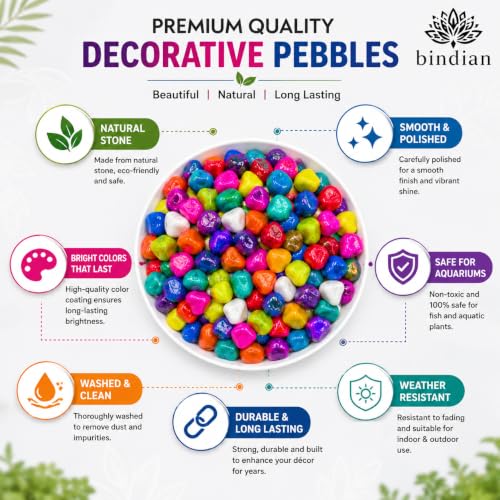 Image of Bindian Decorative Pebble Stone, Multicolour, Natural Stone, Smooth & Polished, for Aquarium, Garden, Plant Pot, Fountain Decor (3 Kg, Multicolor)