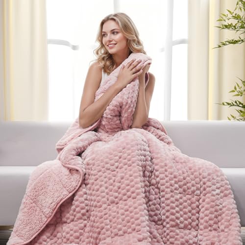 Image of Drewin Queen Size 20 lbs Weighted Blanket for Adults, Soft Fuzzy Jacquard Sherpa Weighted Blankets for Sleeping, Cozy Sofa Bed Blanket for Winter, Pink, 60 x 80 inches