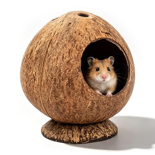 Cama para hámster de coco natural y refugio para hámsters pequeños 2