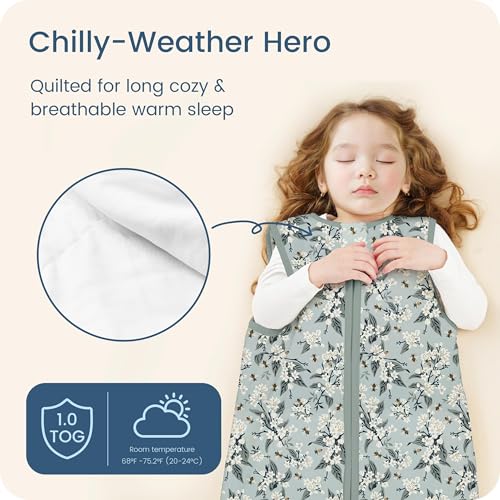 Image of 1.0 TOG Toddler Sleep Sack, Wearable Blanket Baby Sleeping Bag with 2-way Safe Zipper, Ultra Soft All Season Sleep Sack for 24-36-48 Months, 1 Pack(Bee Blossom)