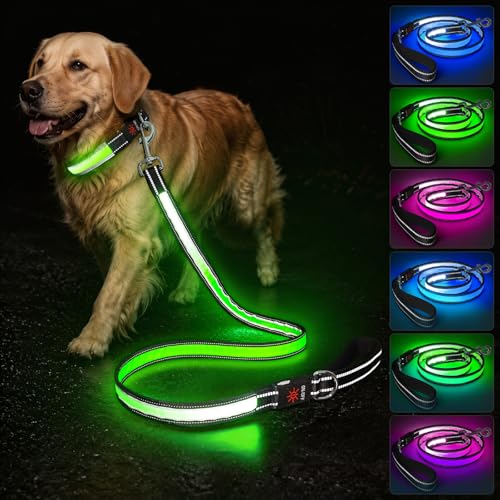 Visinite LED Dog Leash