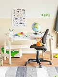 ORIGINAL BioKinder Leon Kinder - und Jugendschreibtisch ergonomisch und mitwachsend aus zertifiziertem Bio-Kiefernmassivholz naturweiß lasiert mit sorgfältig abgerundeten Kanten