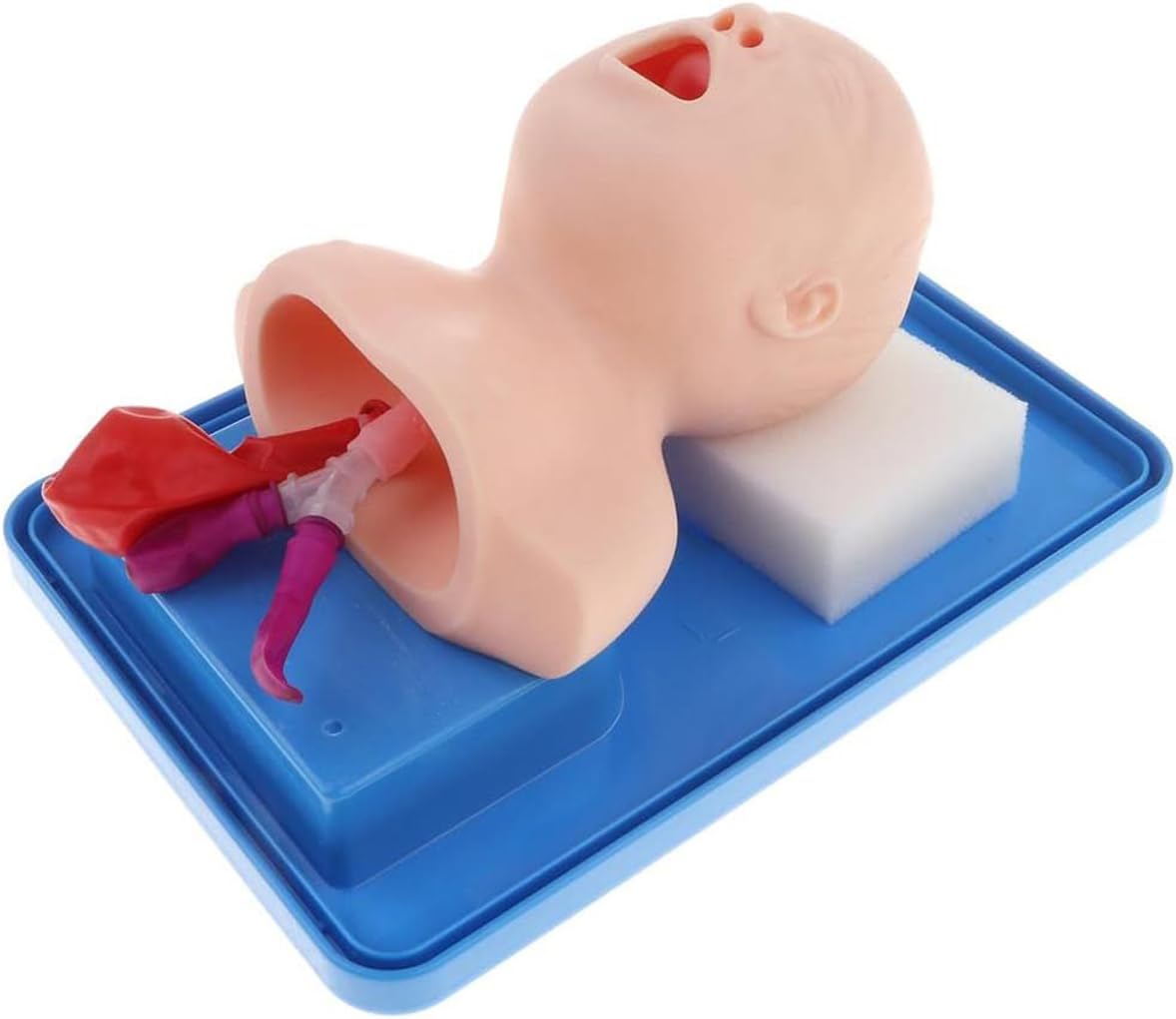 Modello di Formazione per L'intubazione Tracheale Bucconasale Neonatale Anatomica Manichini per Intubazione Manichino Pediatrica Infantile Simulatore Intubazione delle Vie Aeree Infantili