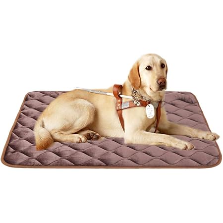 Furrybaby dog mat Clearance