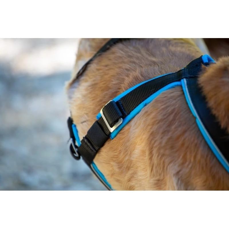 inlandsis Canicross Geschirr für kleine Hunde, Open-Back