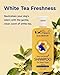 Unipaws Probiotic Dog Shampoo for Short-Haired Coats – Itch Relief, Deodorizing & Hydrating for Healthy, Fresh Skin with Calendula & Oatmeal – EWG Green & White Tea Scent, Made in Korea, 16.9 Fl Oz