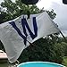 Time Roaming 3x5 Ft Chicago Wrigley Field W Win Polyester Flag with Brass Grommets