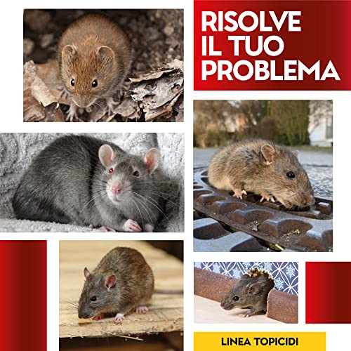 Albagarden - Trappola Per Topi Grande + Picciola - Haccp Per Disinfestazione Ratti - Porta Esche Per Veleno - Plastica Dura Professionale Per Roditori - 2 Trappole - 4