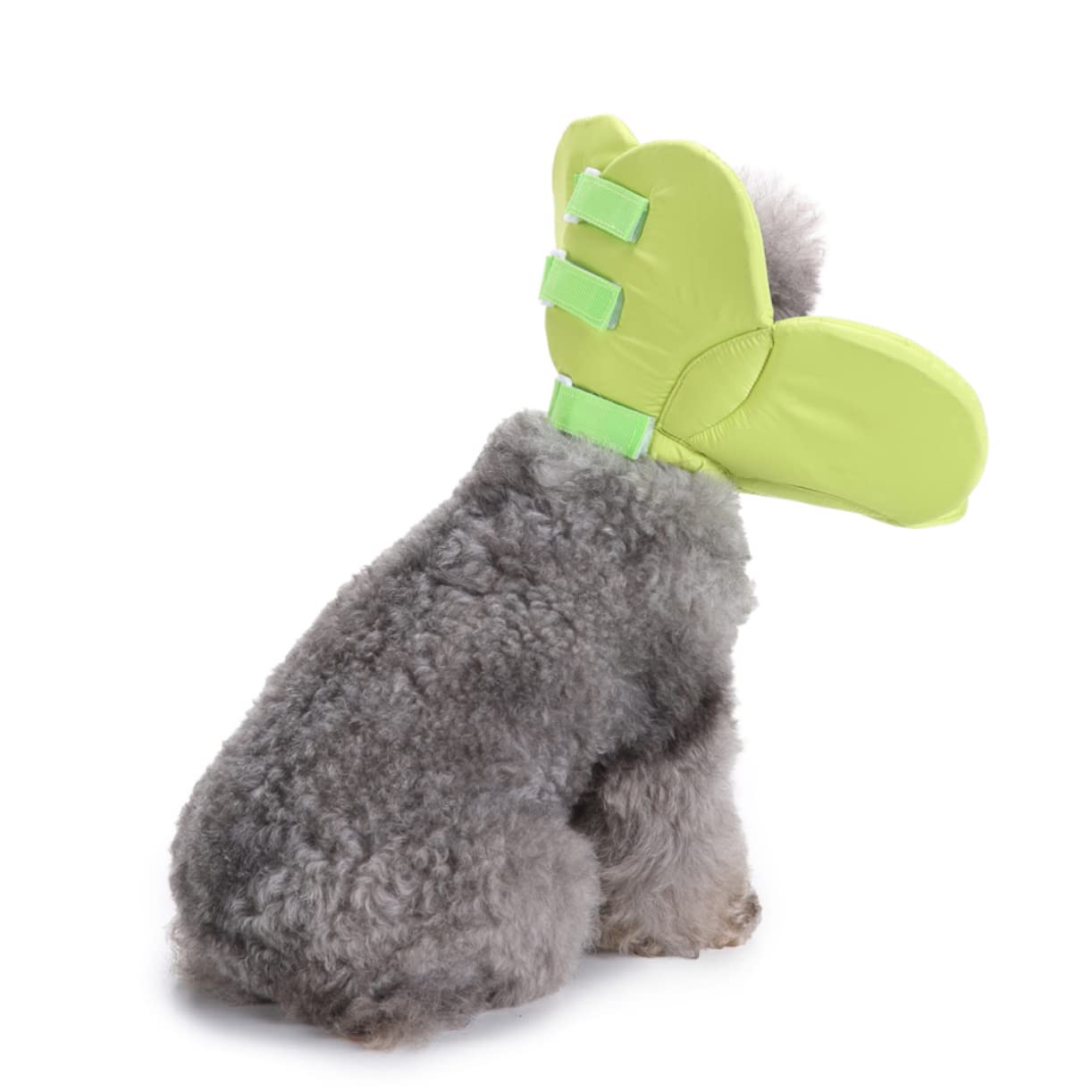 INOOMP 3piezas Collar De para Mascotas Cono Protector De Collar Elizabethano para Perros y Gatos s para Curación De Heridas