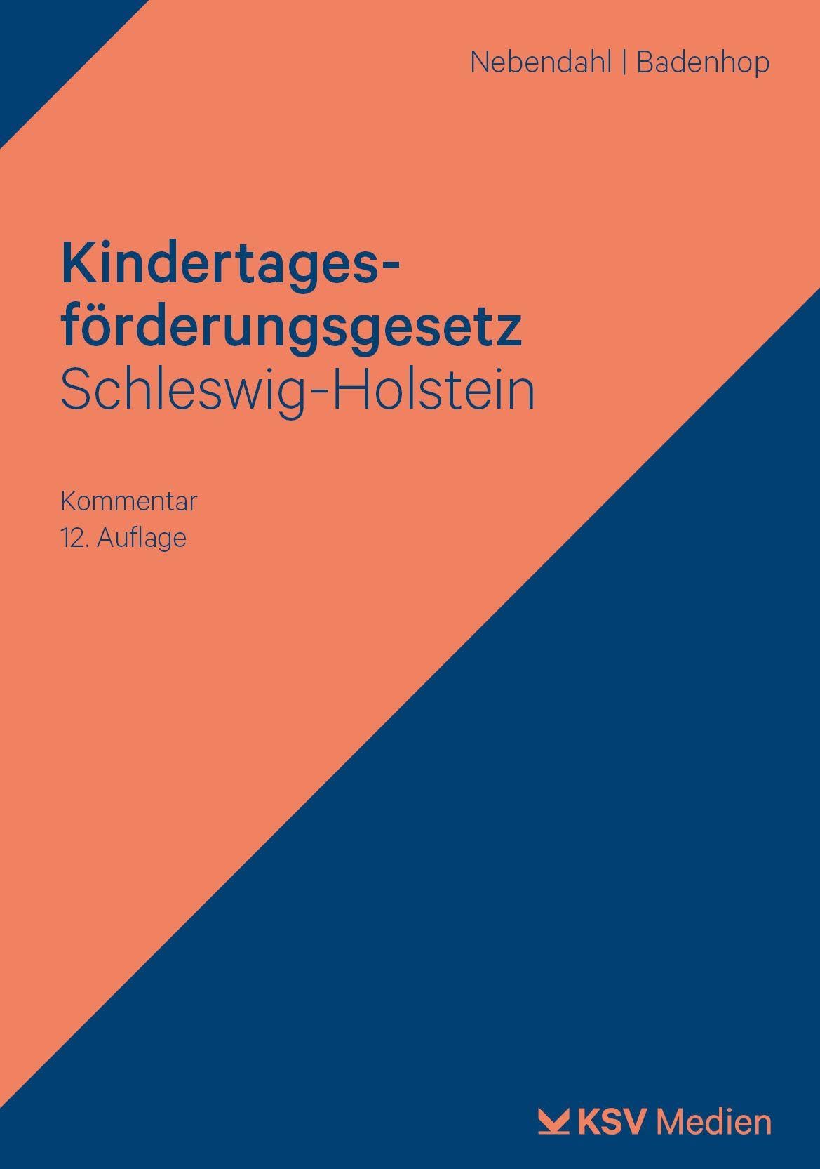 Kindertagesförderungsgesetz Schleswig-Holstein: Kommentar