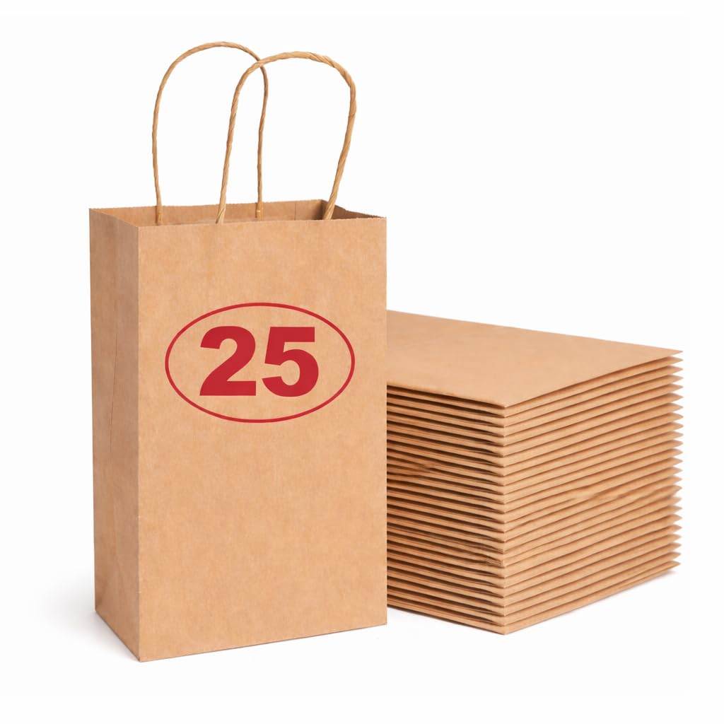 VEZODEK Pack of 10 Paper Bags with Handle 24 x 20 x 8 cm, It Can Be Used Like Popcorn Bags, Kraft Paper, Gift Bags Children's Birthday, Sandwich Bags, Bread Bags, Party Bags (25 Brown)