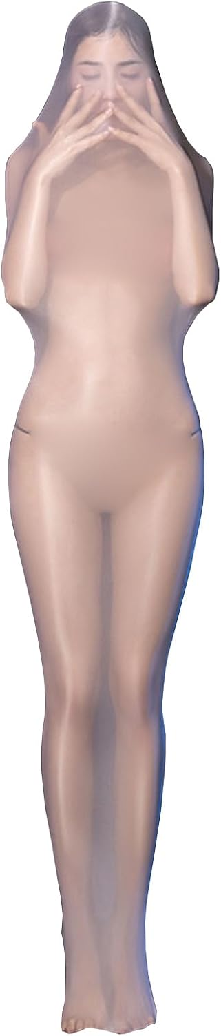 LESOYA Women's Sexy Shiny Glossy Sheer Bodystocking Ultrathin Sleeping Bag for Full Body Socks
