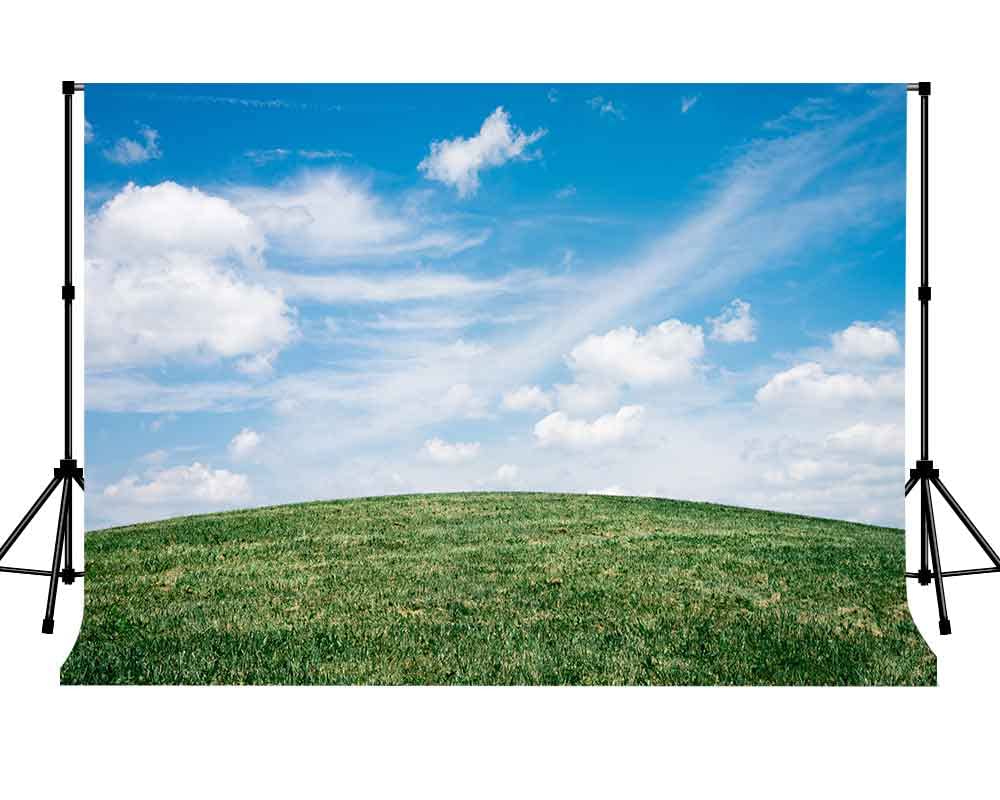 Natural Photography Backdrops 10 X 7 FT Green Grassland Photography Backdrop White Clouds and Blue Sky Background for Photo Booth Screen Backdrop or