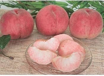 Amazon.co.jp: もも 硬い桃 8月中旬頃から発送 山形県「おどろき」 秀 Amazon.co.jp: もも 硬い桃 8月中旬頃から発送 山形県「おどろき」 秀