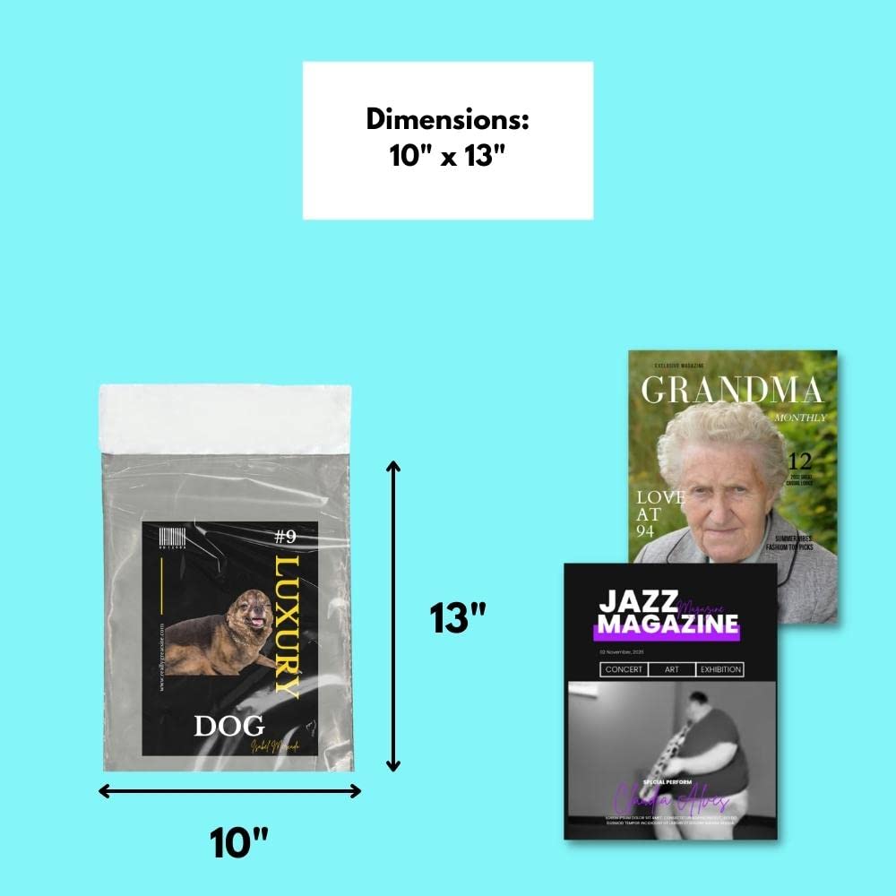 PSBM Clear Poly Mailers, 10x13 Inch, 200 Pack, Shipping Envelope with Transparent Side & Grey Side, Great for Clothing, T-Shirt, Catalog