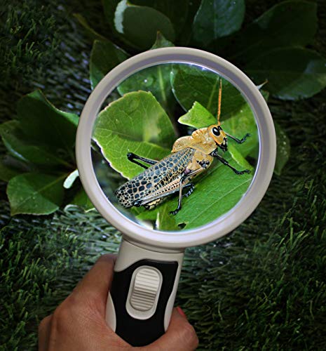 Magnifying Glass 5X & 10X with Bright LED Lights, Magnifying Glasses for Close Work, Lighted Magnifier for Reading Handheld, Kids Plastic Pocket Magnifying Glass with Light, Magnified Glass