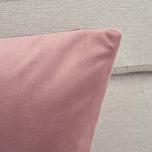 Rythome Set Of 2 Comfortable Throw Pillow Cover For Bedding, Decorative Accent Cushion Sham Case For Couch Sofa, Soft Solid Velvet With Zipper Hidden - 18"X18", Mauve Pink #TOP5