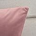 Rythome Set of 2 Comfortable Throw Pillow Cover for Bedding, Decorative Accent Cushion Sham Case for Couch Sofa, Soft Solid Velvet with Zipper Hidden - 18